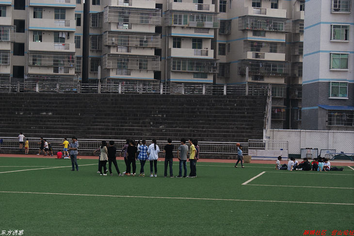DSC01140.jpg