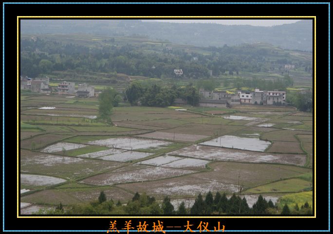 DSC06242.jpg