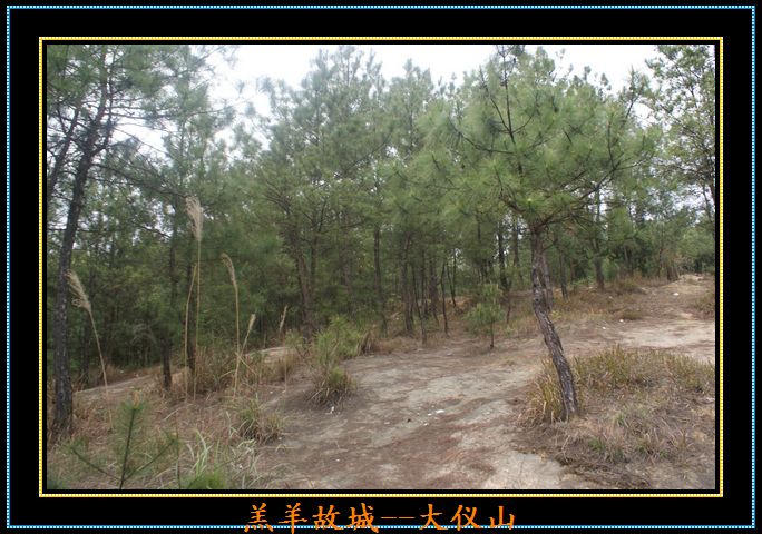 DSC06461.jpg