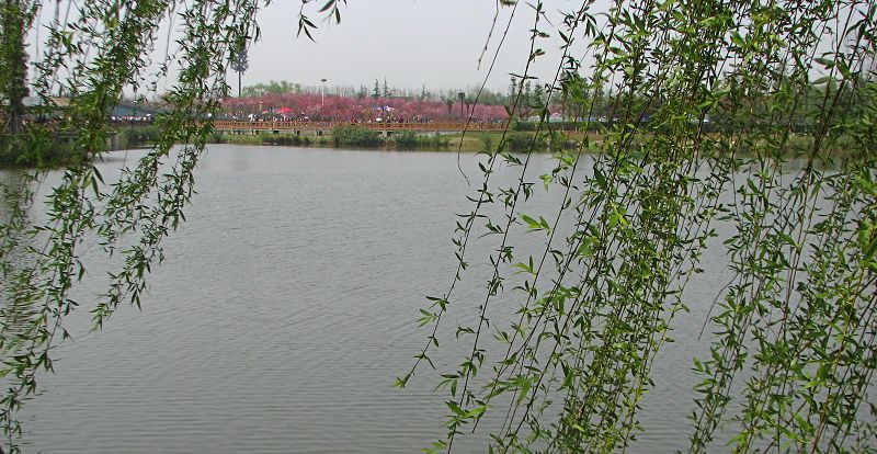IMG_5902.JPG