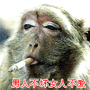 46_42893_f77264c92514a5a.gif