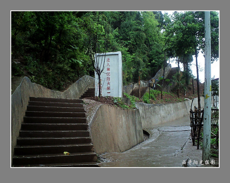 PICT0036_conew1.jpg