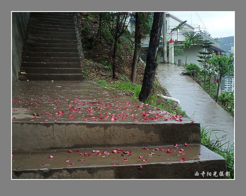 PICT0039_conew1_.jpg