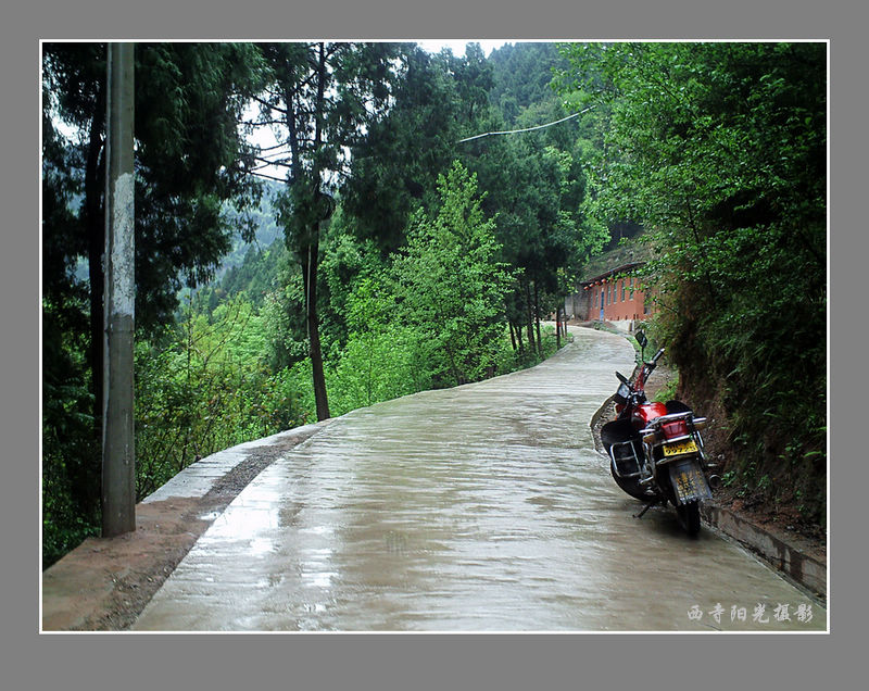 PICT0043_conew1.jpg