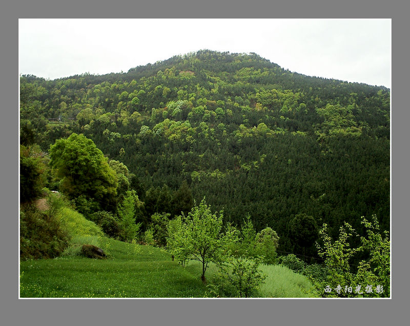 PICT0061_conew1.jpg