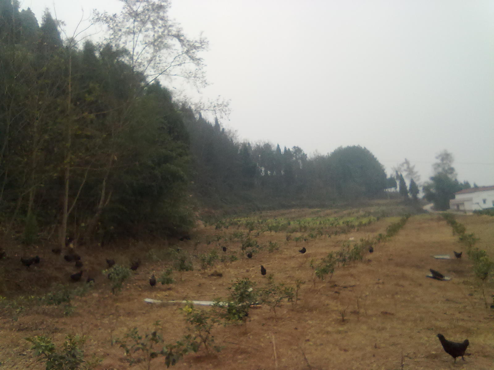 20120101018.jpg