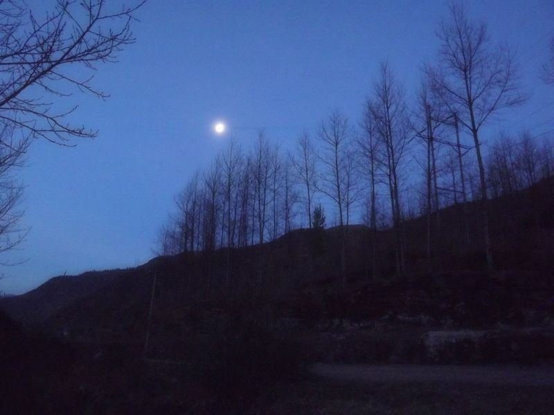 DSCF1725.jpg