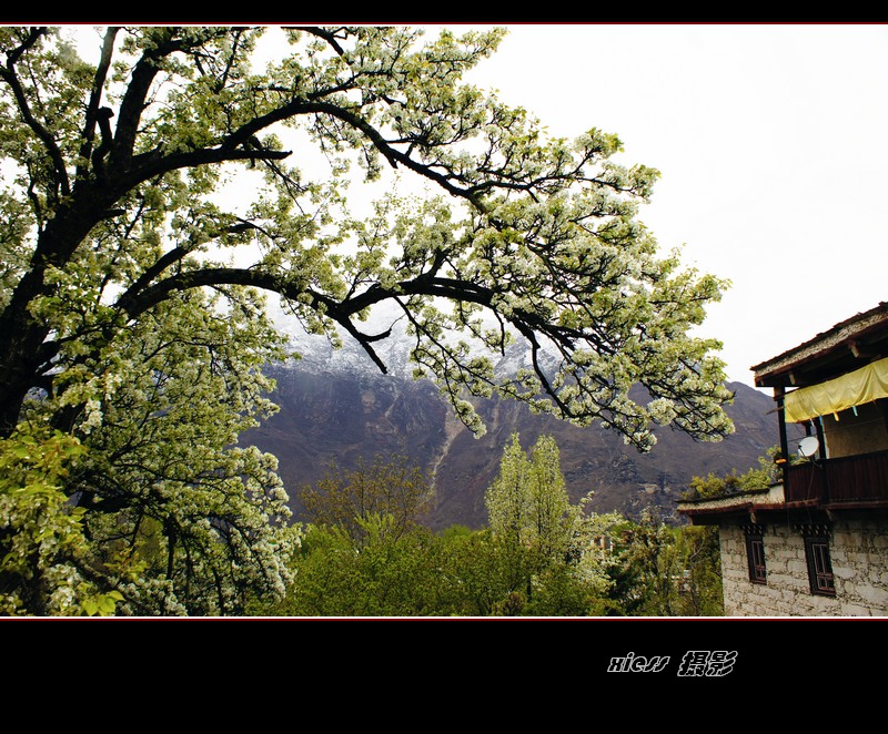 DSC00227ab.jpg