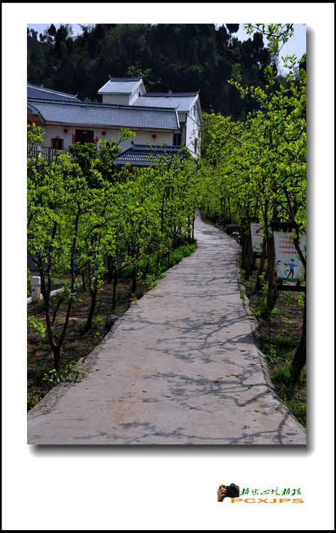 Ƭ 038.jpg