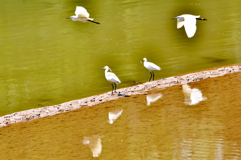 DSC_8823_С.jpg