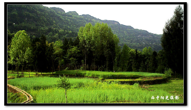 PICT0101_conew1.jpg