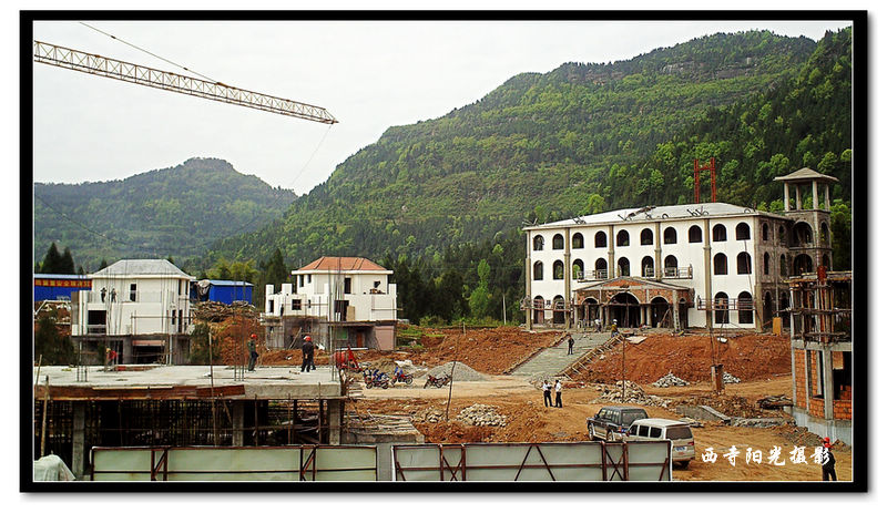 PICT0136_conew1.jpg
