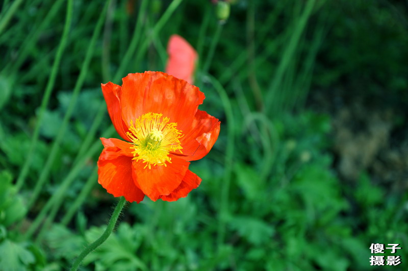 DSC_0001.jpg
