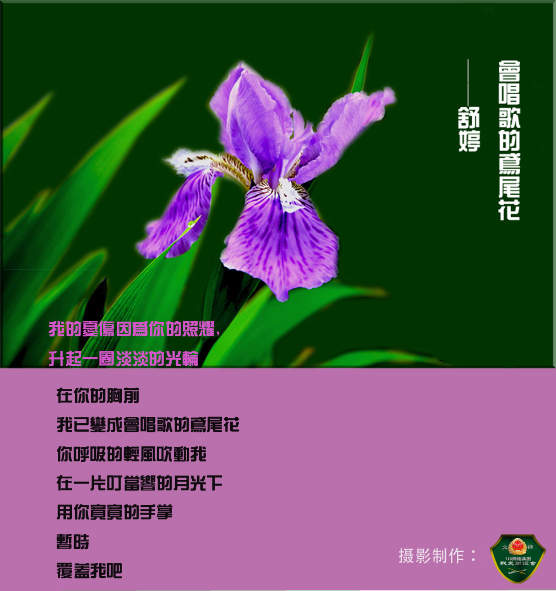 粉色鸢尾花的花语图片