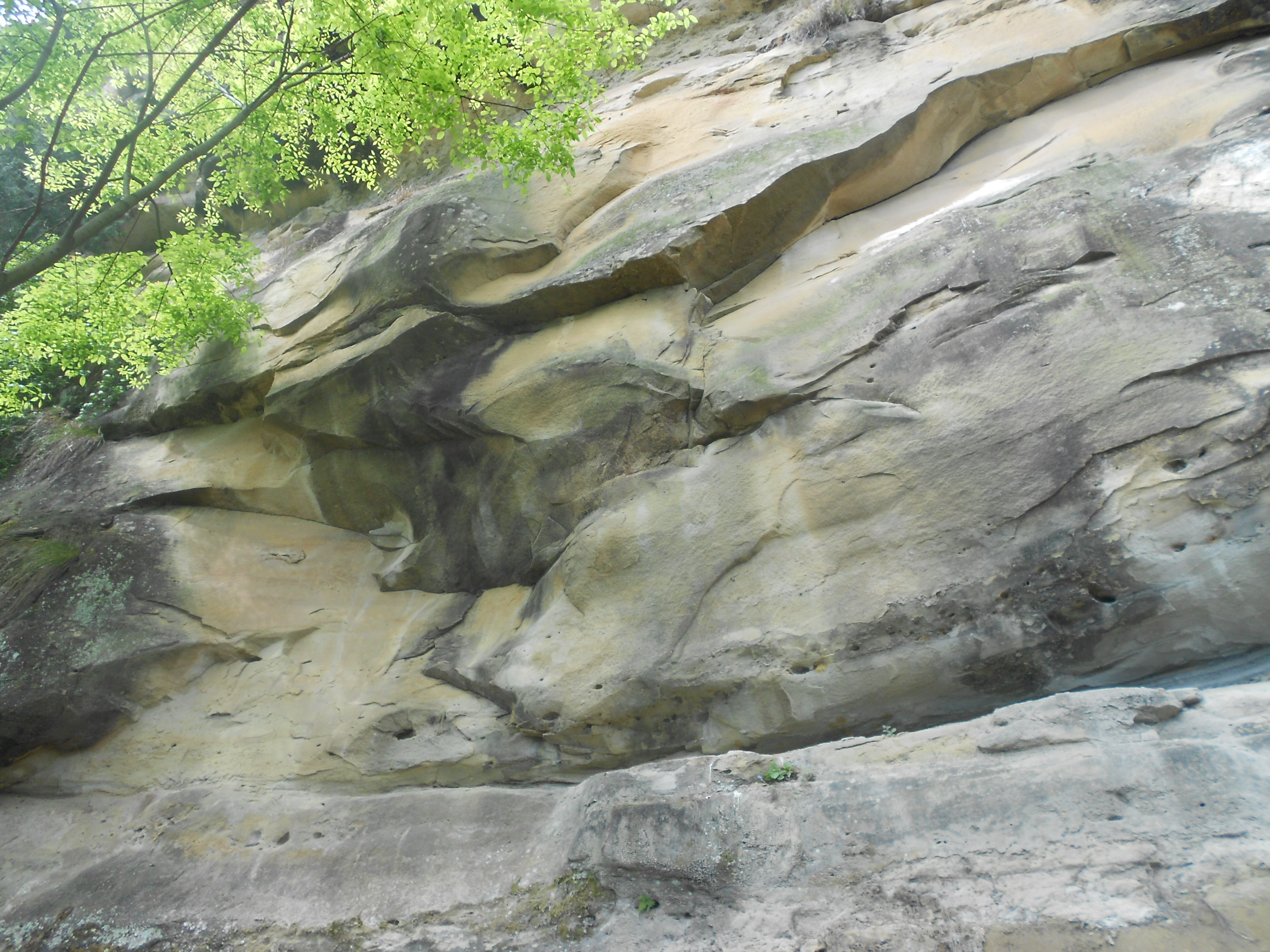 DSCN0582.JPG