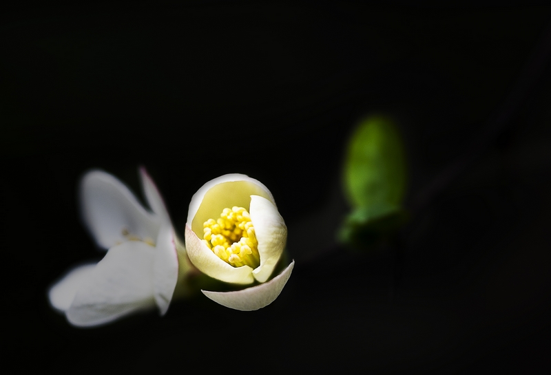 DSC_6284.jpg