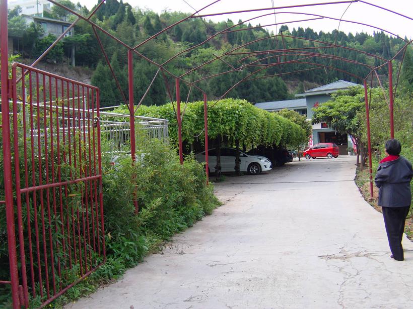 AMBA0354.JPG