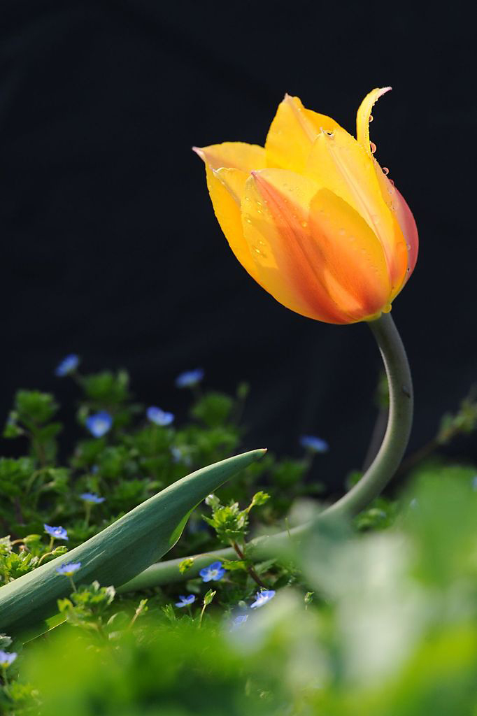 201204182021595851-2089977.jpg
