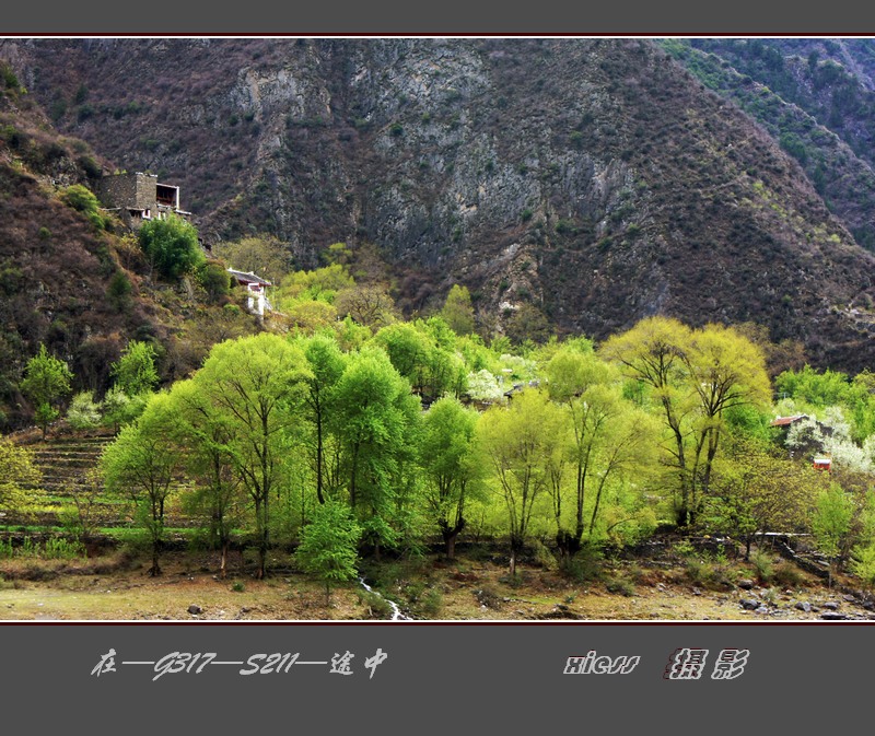 DSC00154ab.jpg