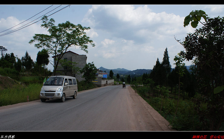DSC00080.jpg