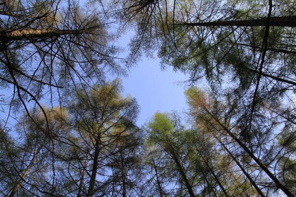 IMG_4510.JPG