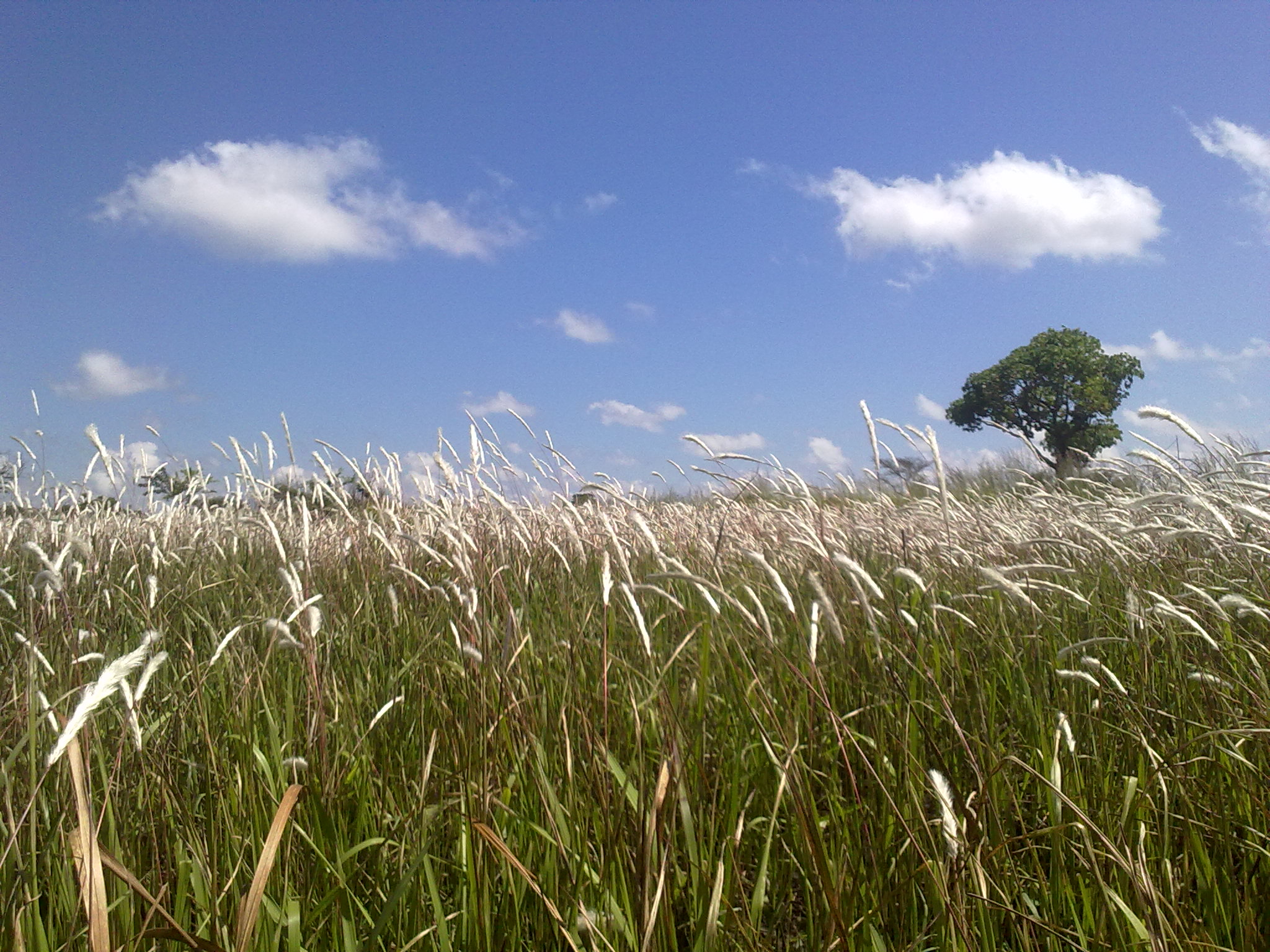 20120420434.jpg