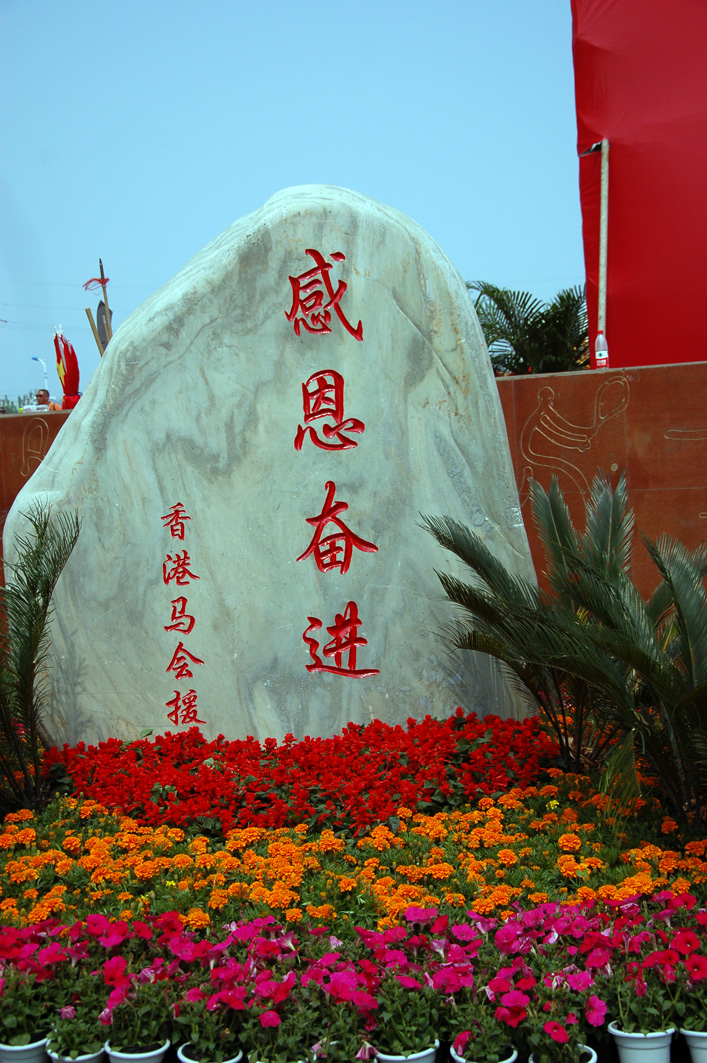 DSC_0117.jpg