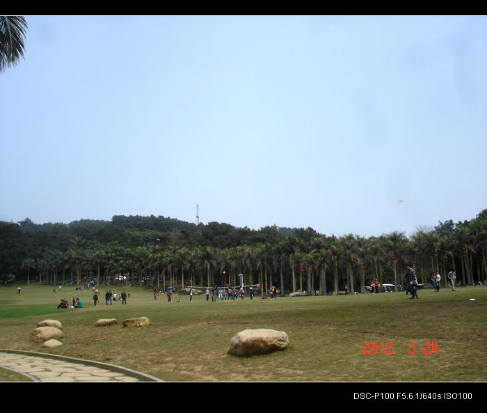 nEO_IMG_DSC04752.jpg