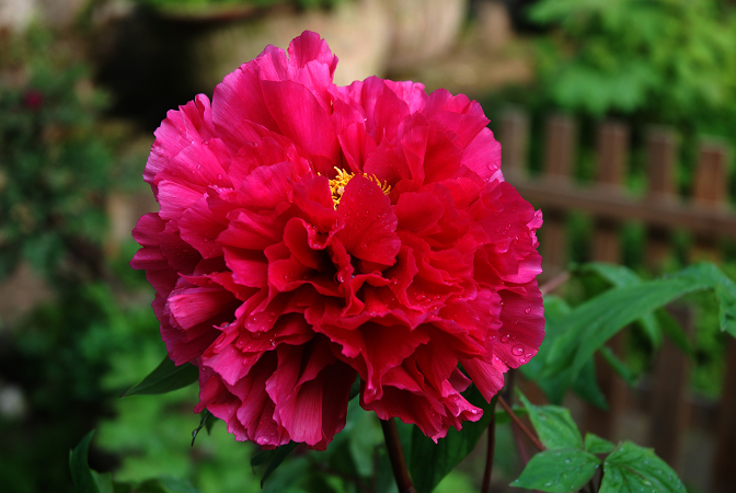 DSC_0075.JPG