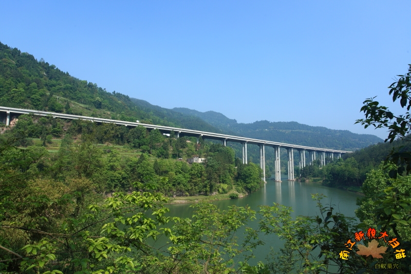 ϽֱϪӸ·IMG_0919.JPG