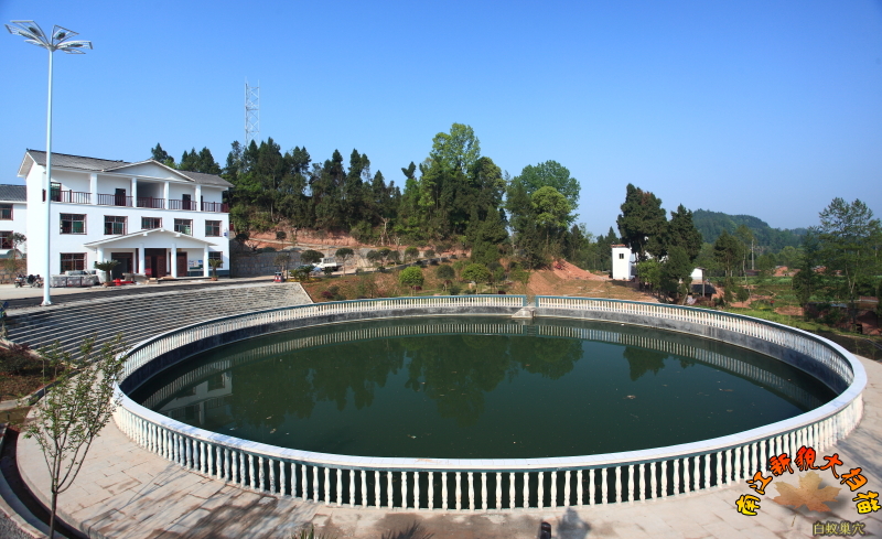 ڳ.JPG