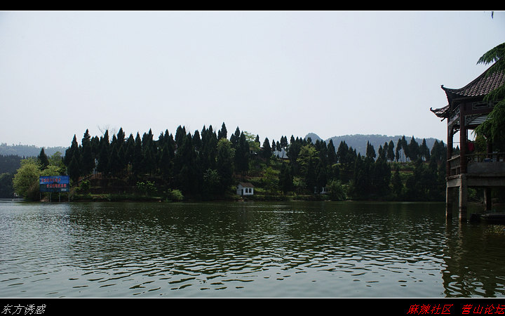 DSC00340.jpg