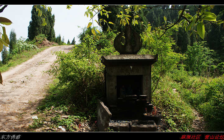 DSC00478.jpg