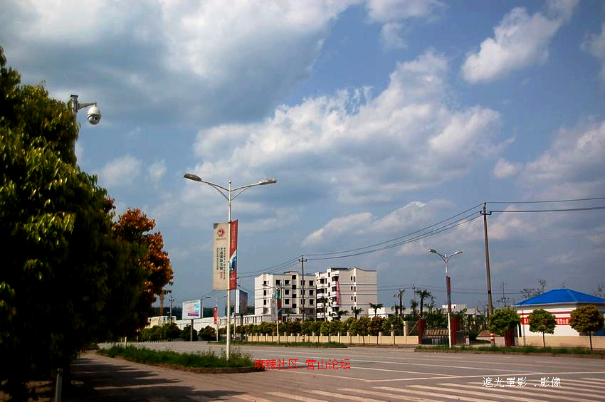 DSC_6185.JPG