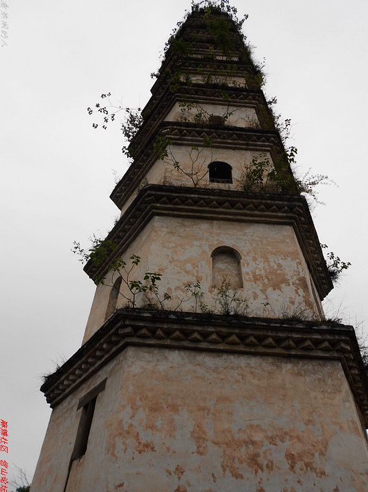 DSCN2813.jpg