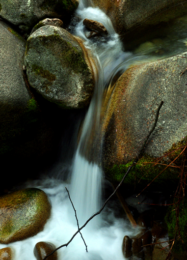 DSC_0055_.jpg