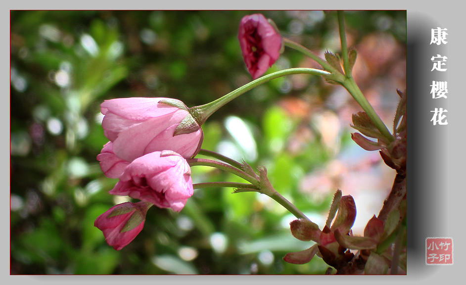 DSC07285.jpg