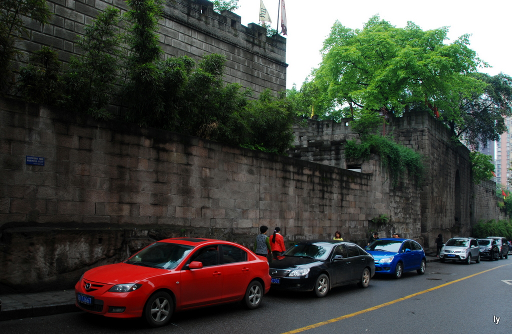 DSC_8050.JPG