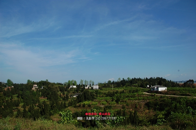 DSC_7956.jpg
