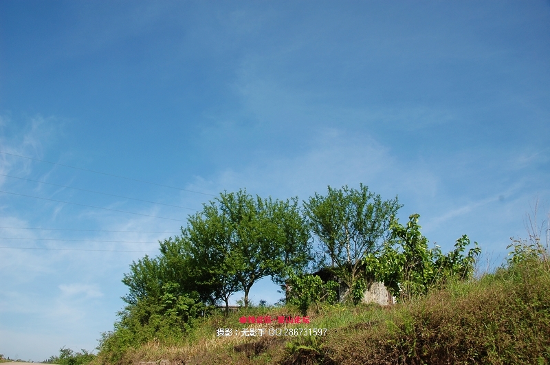 DSC_7958.jpg
