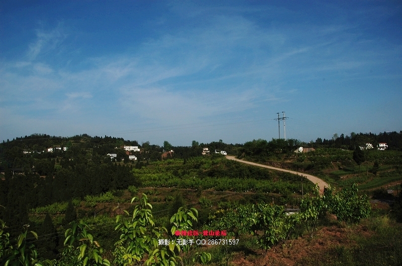 DSC_7981.jpg
