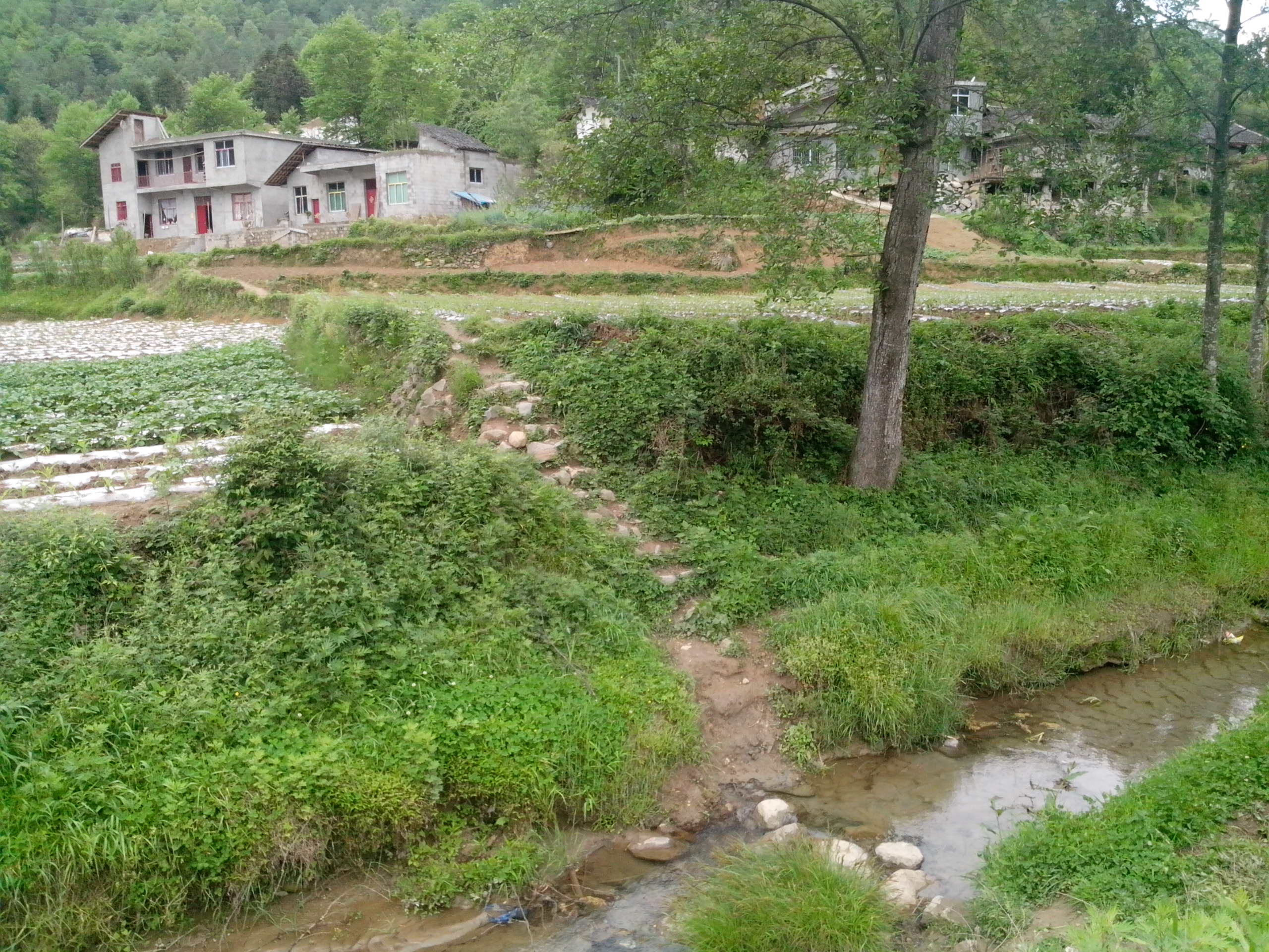 IMG_20120504_113428.jpg