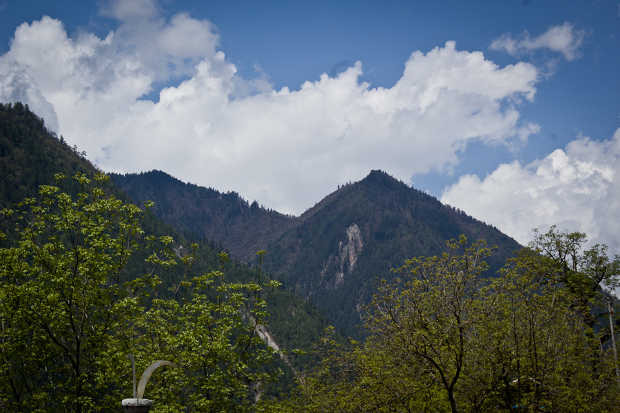 IMG_0039.jpg