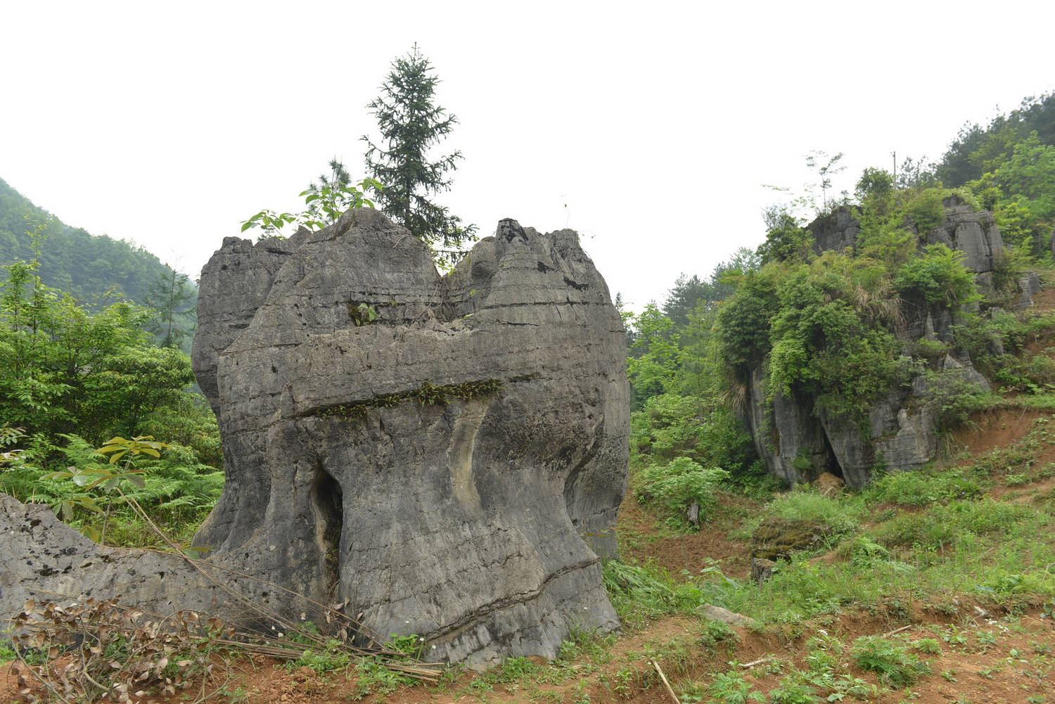 DSC_0249111.jpg