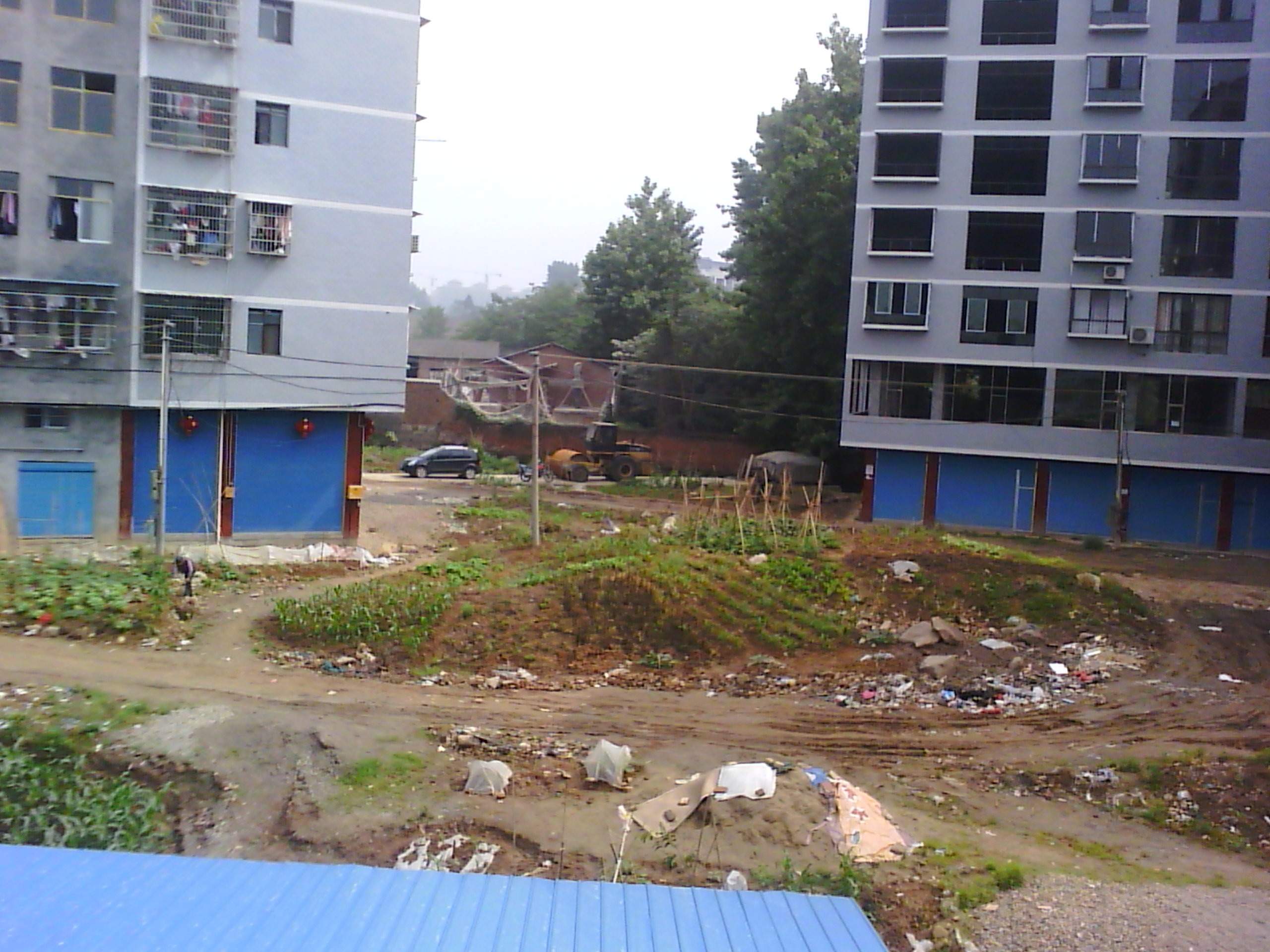 IMG_20120508_100457.jpg