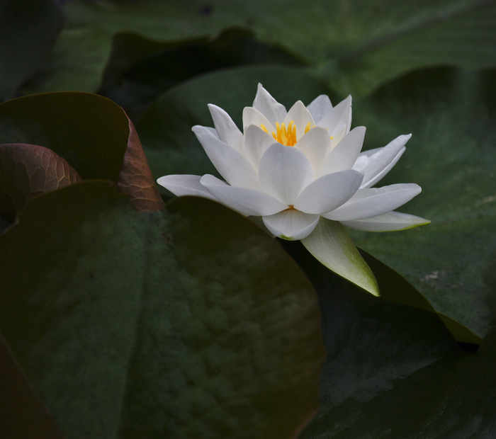 nEO_IMG__MG_8022.jpg