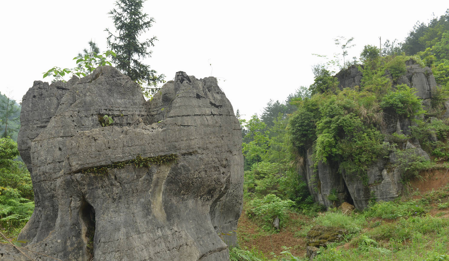 DSC_0249.JPG
