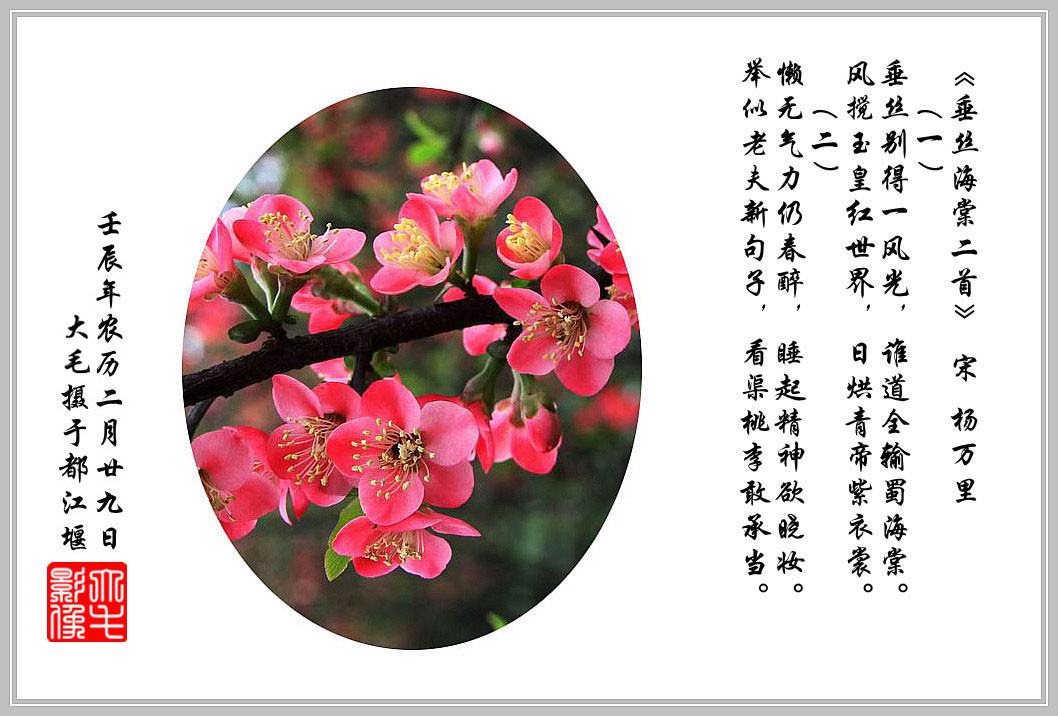 海棠古诗拼音图片
