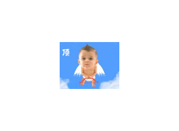 0_1237877819aW8N_zip.gif
