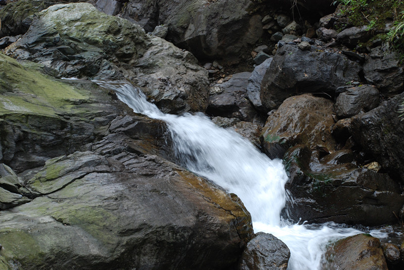 dsc_0071_.jpg